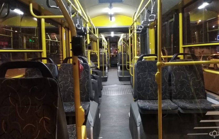 Дон Кіхот з ганчіркою для київського транспорту Дон Кіхот з ганчіркою для київського транспорту