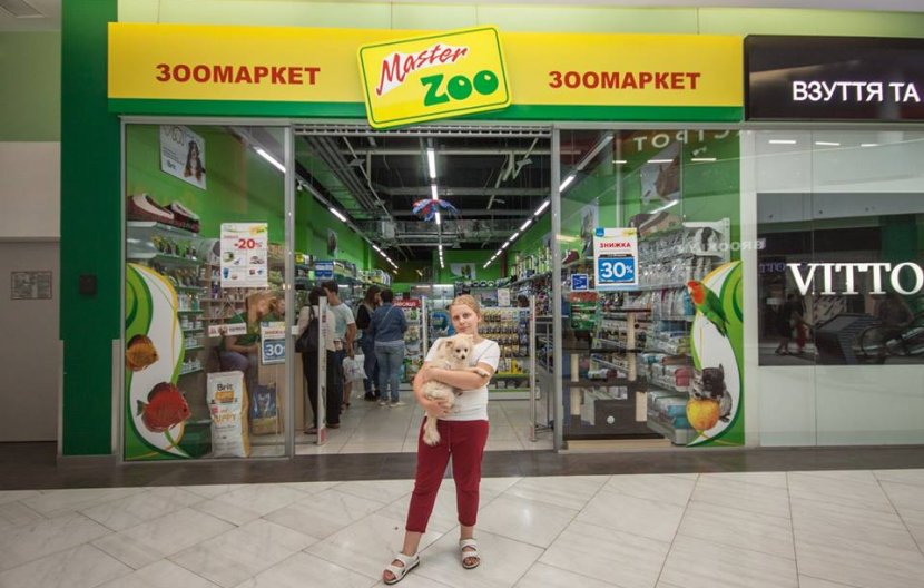 Маленький шпиц для большой любви: 5 причин завести собаку Маленький шпиц для большой любви: 5 причин завести собаку