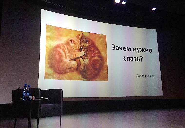 Зачем нужно спать: 13 тезисов от Аси Казанцевой Зачем нужно спать: 13 тезисов от Аси Казанцевой