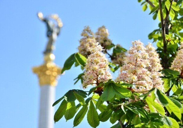 Святкування Дня Києва пройде онлайн на телеканалі «Київ» Святкування Дня Києва пройде онлайн на телеканалі «Київ»