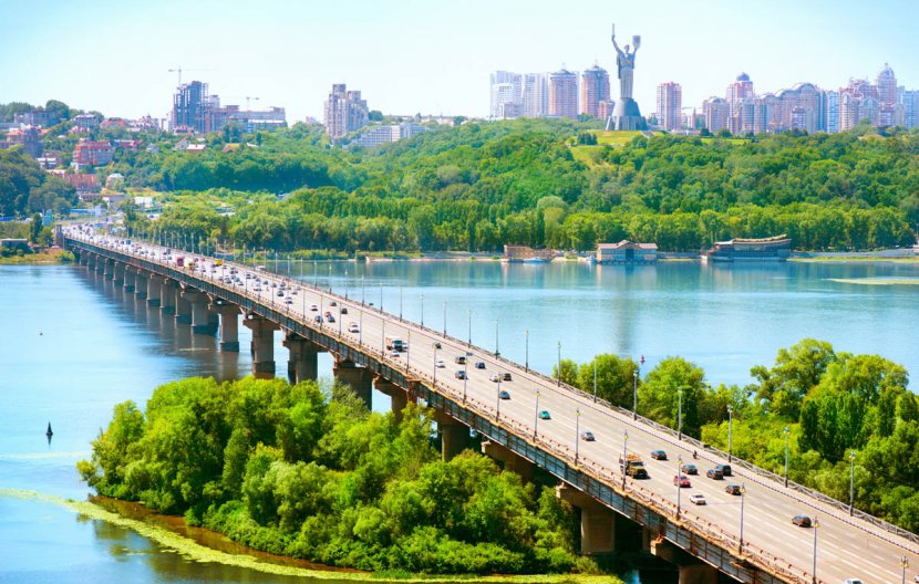 Київська ботаніка: тест про столичні рослини Київська ботаніка: тест про столичні рослини