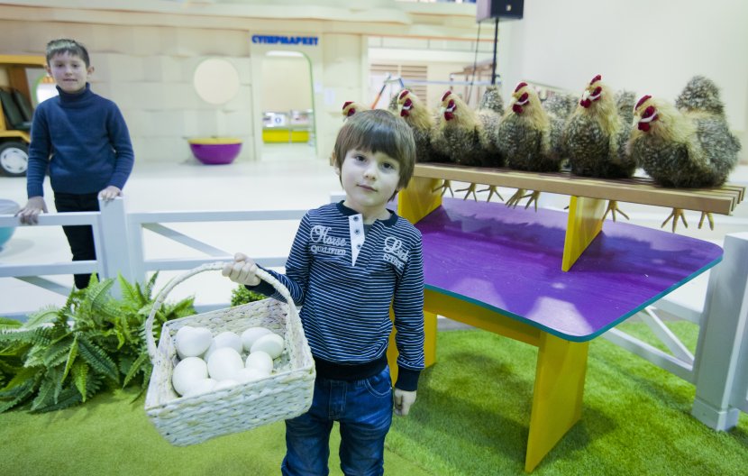 Лучший мэр работает в «Кидзвиле» Лучший мэр работает в «Кидзвиле»