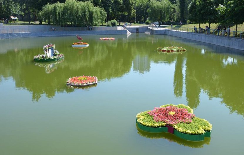 Черепаха, лебідь, фламінго. У Києві почався Фестиваль плавучих клумб Черепаха, лебідь, фламінго. У Києві почався Фестиваль плавучих клумб